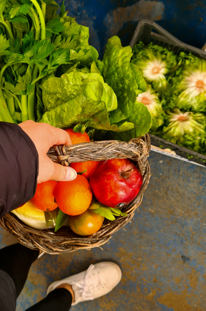 Opzioni alimentari sostenibili